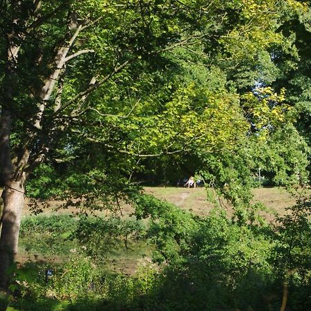 Zoellnerhaus Nordhorn Bed & Breakfast ภายนอก รูปภาพ